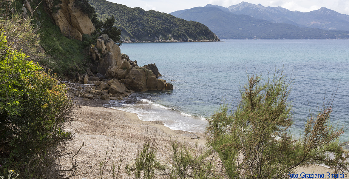 isola d'Elba spiaggia di Viticcio