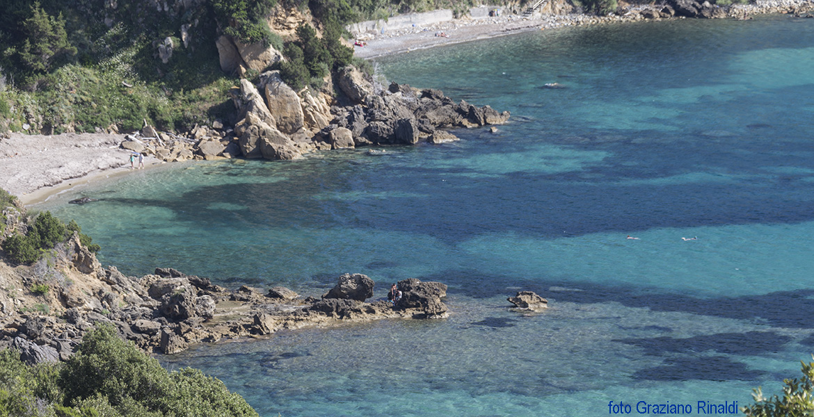 le due spiagge di Viticcio all'isola d'elba