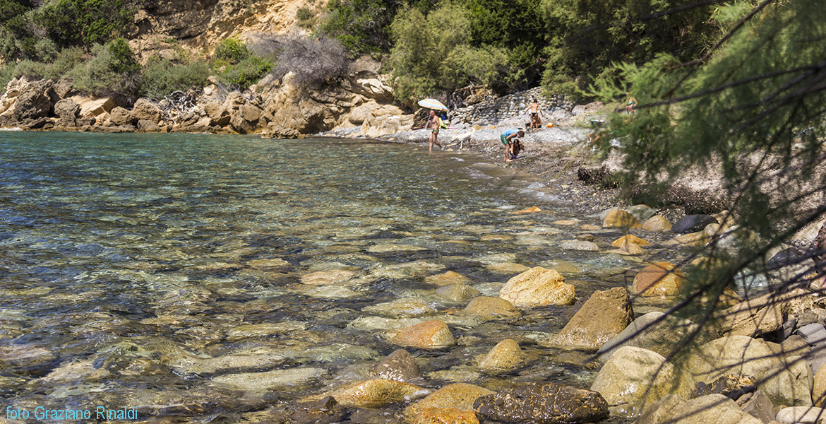 la spiaggia di Viticcio zona con pino