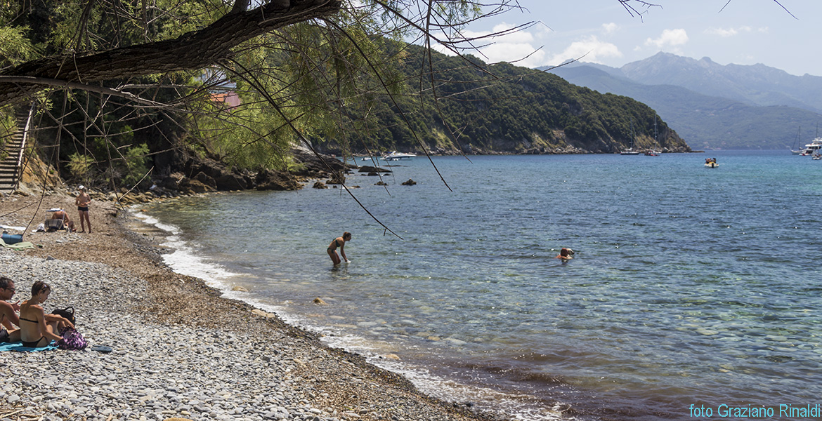 pietraia nella spiaggia di Viticcio