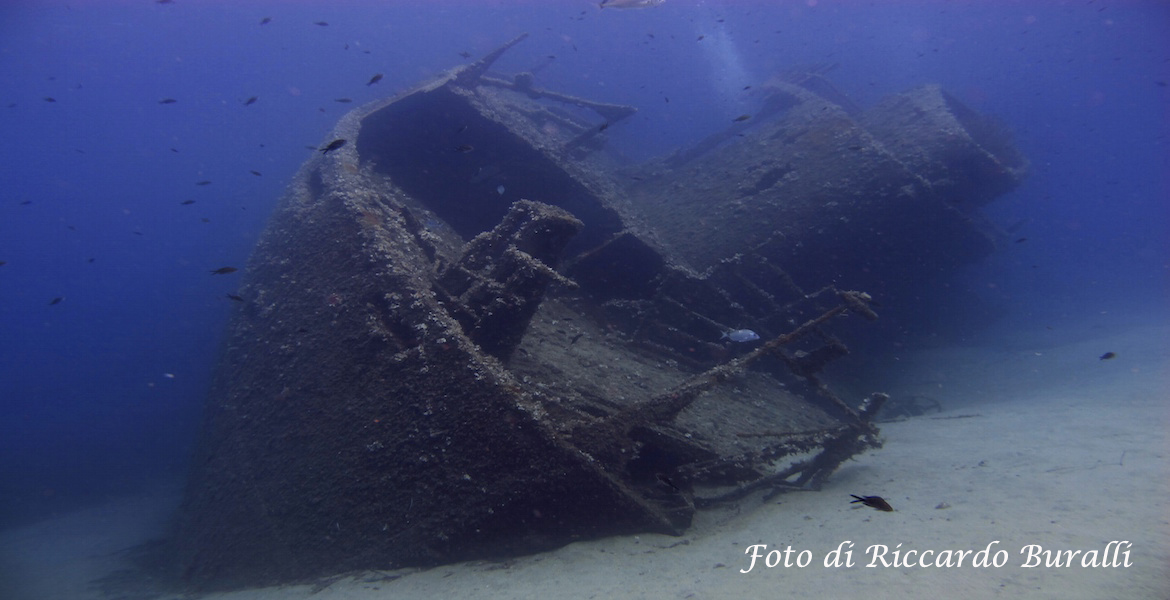 relitto di Pomonte all'isola d'Elba foto sub