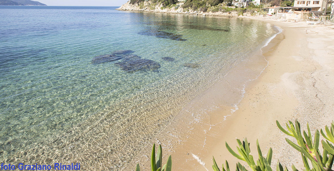 trasparenze con unghie di strega a forno isola d'elba