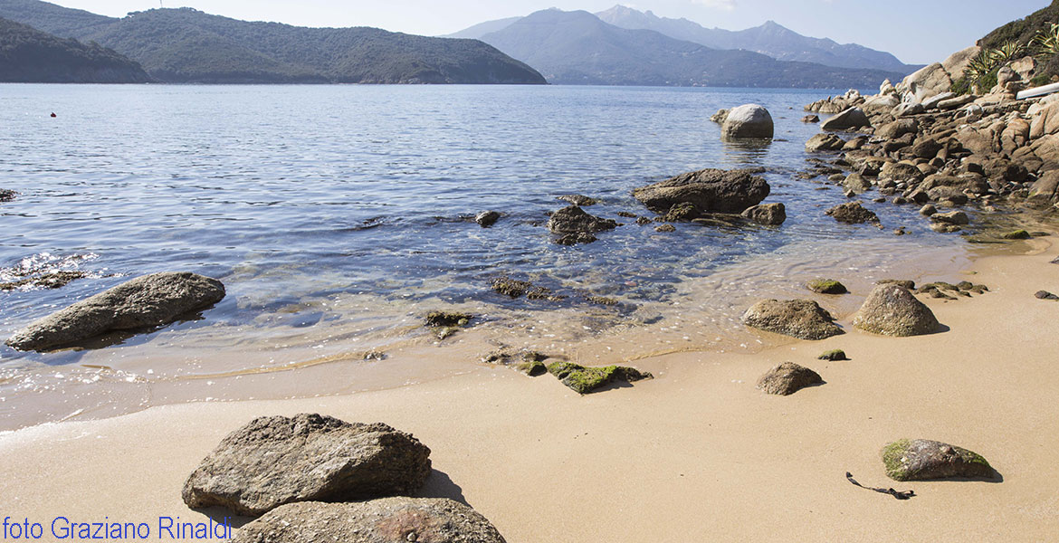 sabbia e scogli sulla spiaggia di forno