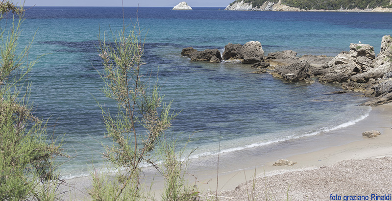 2. DA-INSERIRE-NEL-TESTO-800X410_Tante-Spiagge-pochi-Nomi_Viticcio15