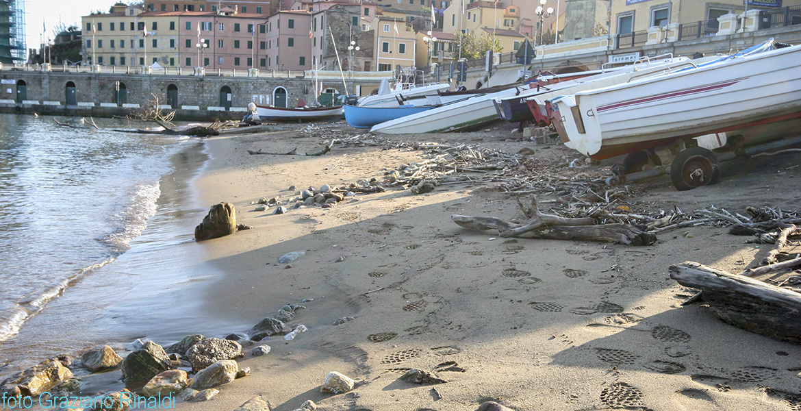 rio marina isola elba spiaggia nel porto turistico