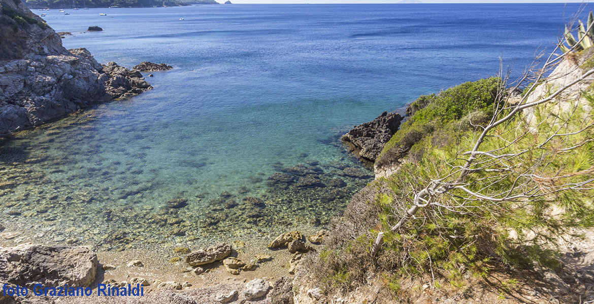 Spiagge isola d'Elba_Felciaio__Capoliveri_ prima spiaggia