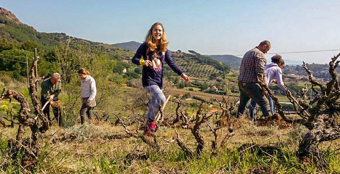 isola d'Elba vini doc_ragazza nella vigna