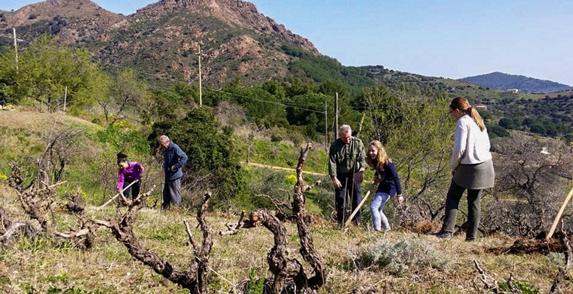 isola d'Elba vini doc_ragazza bionda che zappa