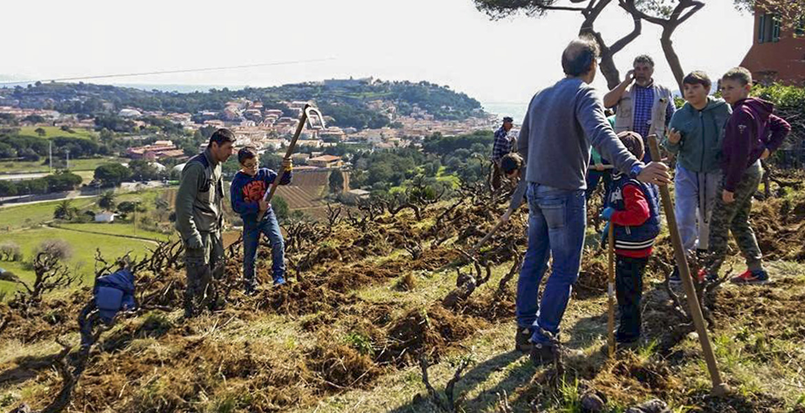 isola d'Elba vini doc_arrighi vignaiolo