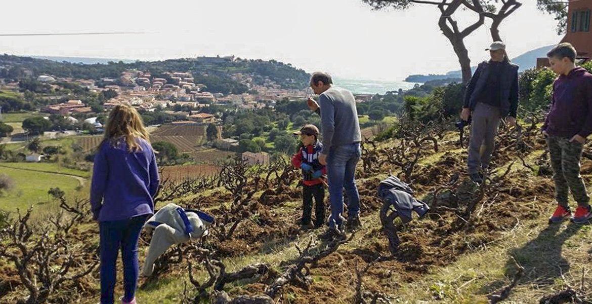 isola d'Elba vini doc_ìvigna sopra Porto Azzurro