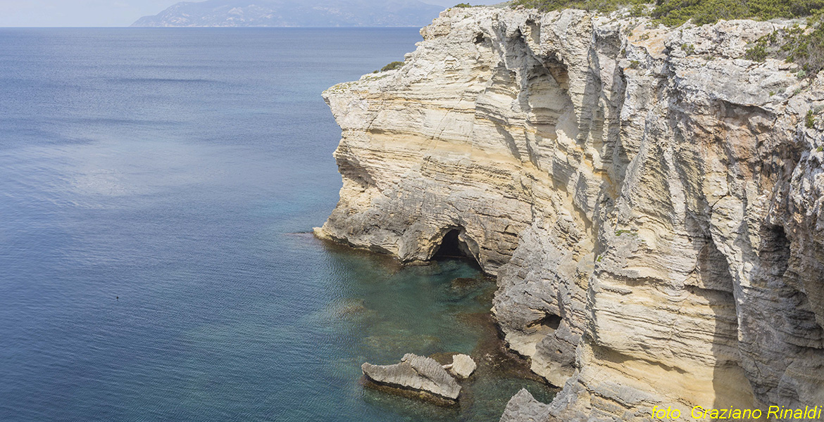 Isola di Pianosa_Parco Nazionale Arcipelago Toscano_Scogliere calcaree