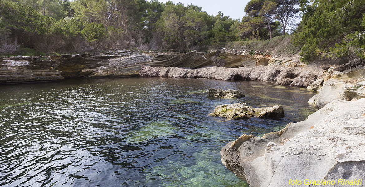 Isola di Pianosa_Parco Nazionale Arcipelago Toscano_cala delle alghe pressi paese e porto