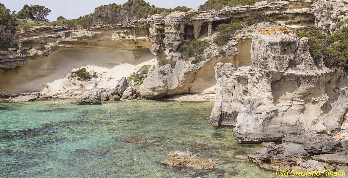 Isola di Pianosa_Parco Nazionale Arcipelago Toscano_cala bruciato veduta insieme parete calcarea