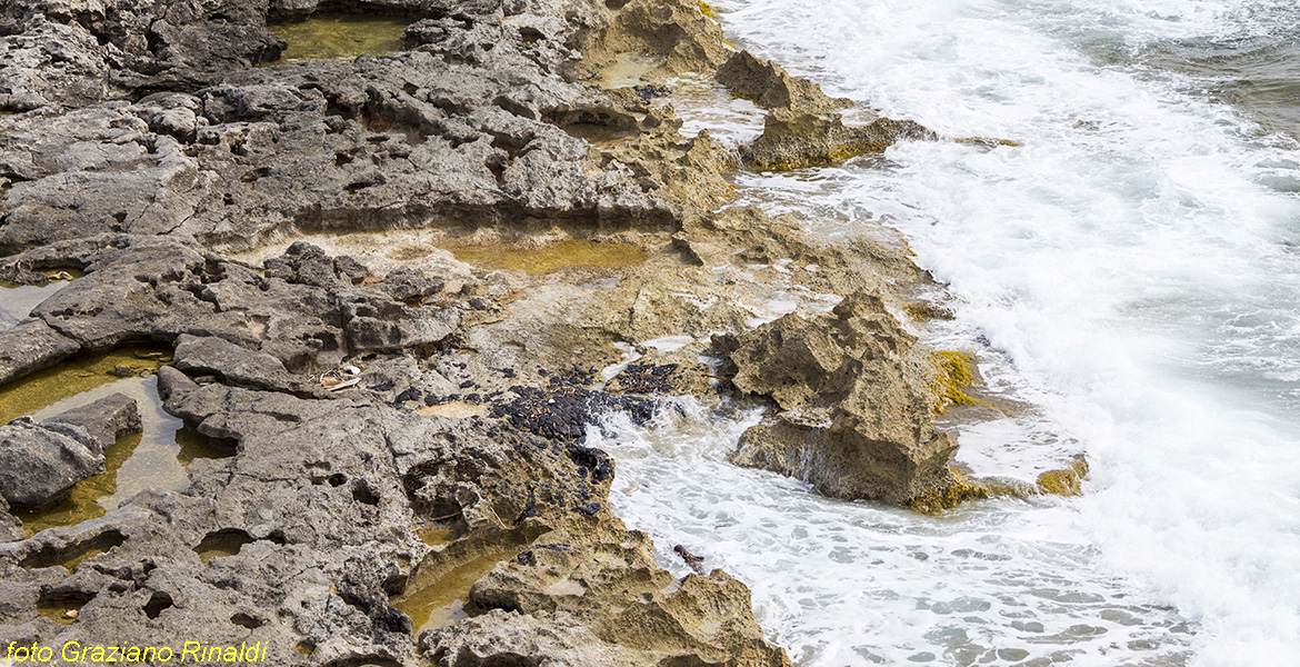 Isola di Pianosa_Parco Nazionale Arcipelago Toscano_tipica formazione rocciosa della costa meridionale