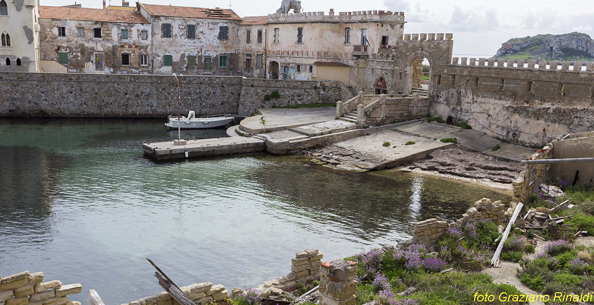 Isola di Pianosa_Parco Nazionale Arcipelago Toscano_il vecchio porto abbandonato nel quale si riuniscono i barracuda
