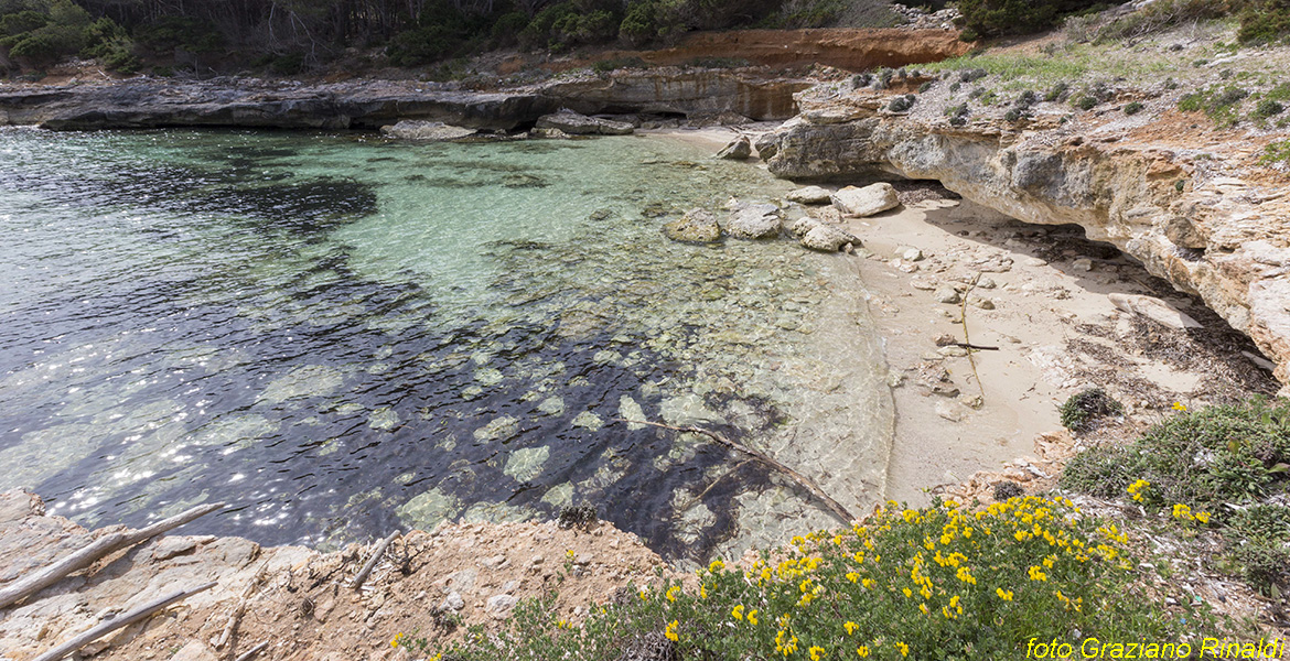 Isola di Pianosa_Parco Nazionale Arcipelago Toscano_cala delle alghe vista da occidente