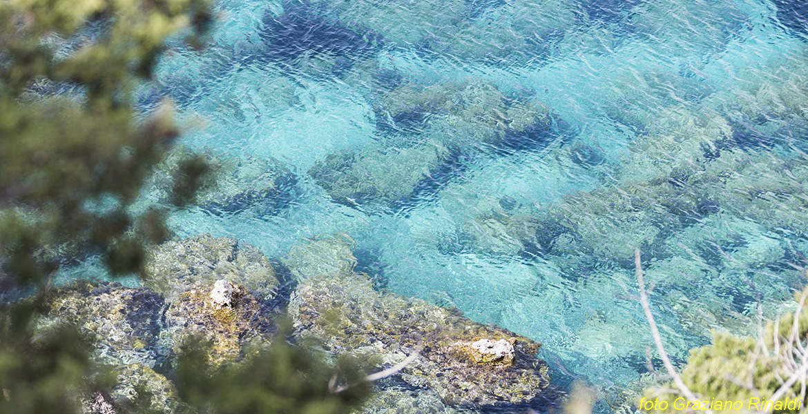 Isola di Pianosa_Parco Nazionale Arcipelago Toscano_trasparenze mare di Pianosa