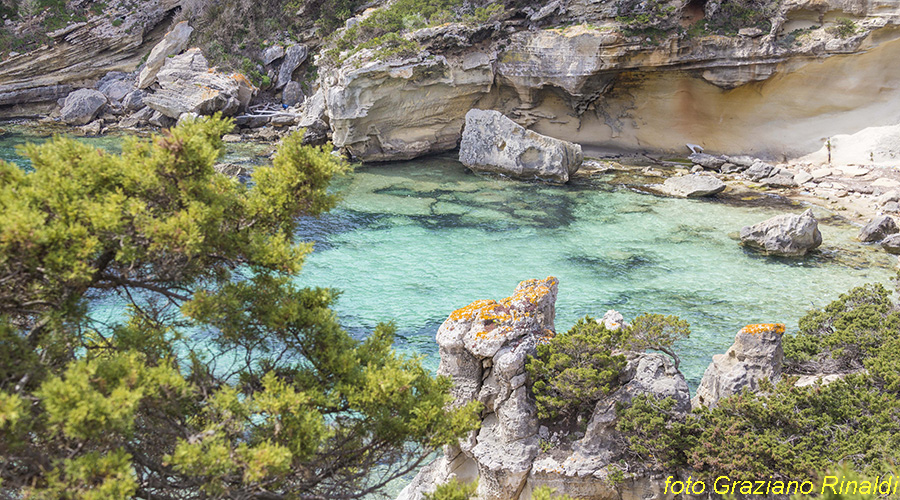 isola di Pianosa post 