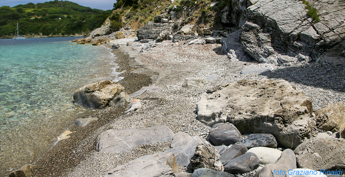 spiaggia vista da ovest del golfo di Procchio