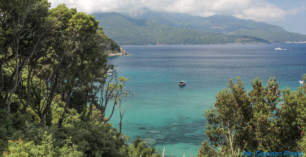 dal golfo di Procchio il Monte capanne