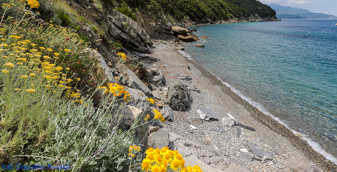spiaggia sconosciuta tra Viticcio e Punta Penisola all'isola d'Elba