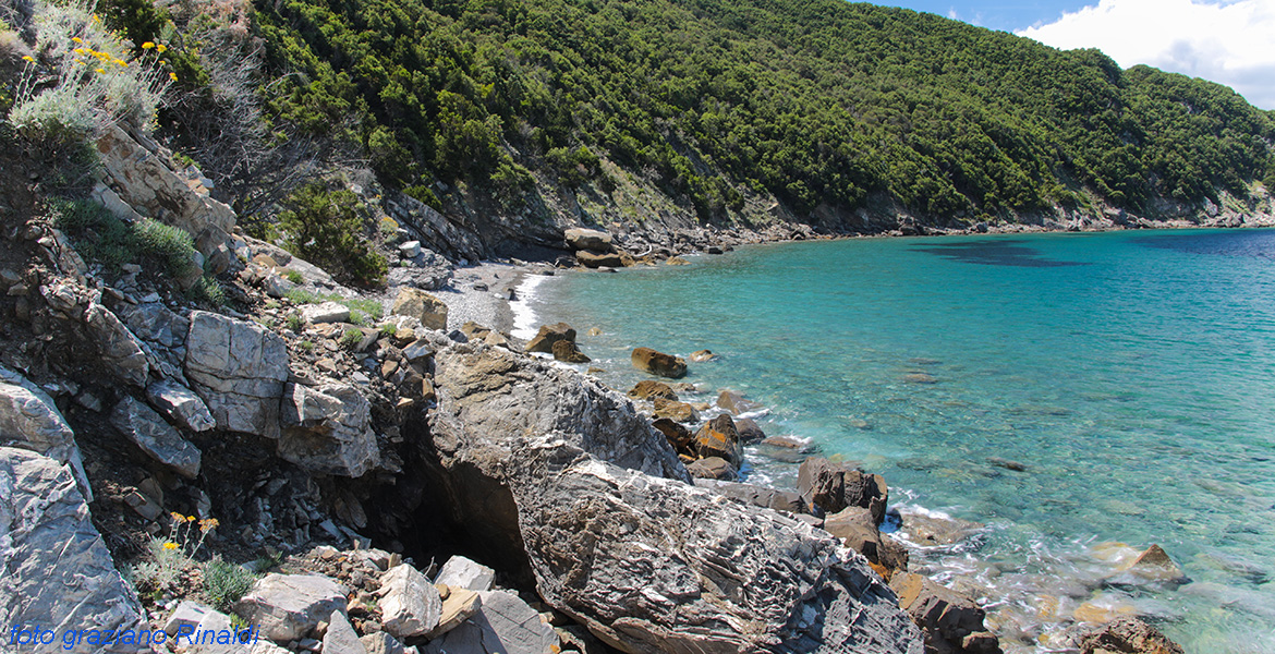 spiaggia tra le scogliere all'isola d'Elba