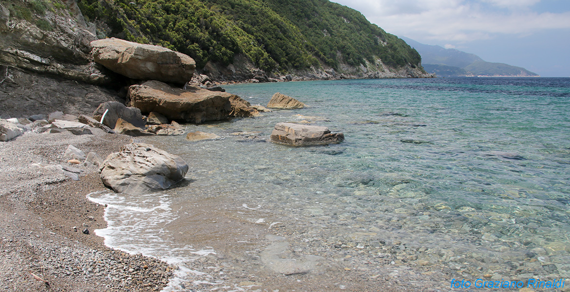 trasparenze spiaggia Viticcio Elba