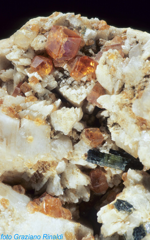 minerali dei filoni pegmatitici dell'isola d'elba