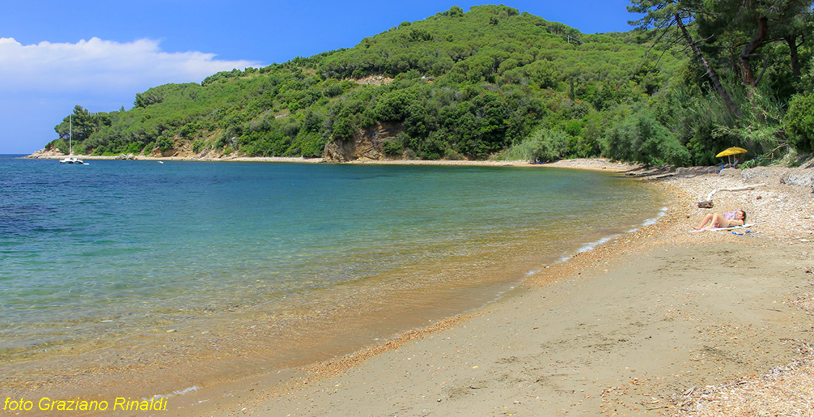 Spiagge Isola d'Elba Spiaggia Ottonella vista panoramica da occidente