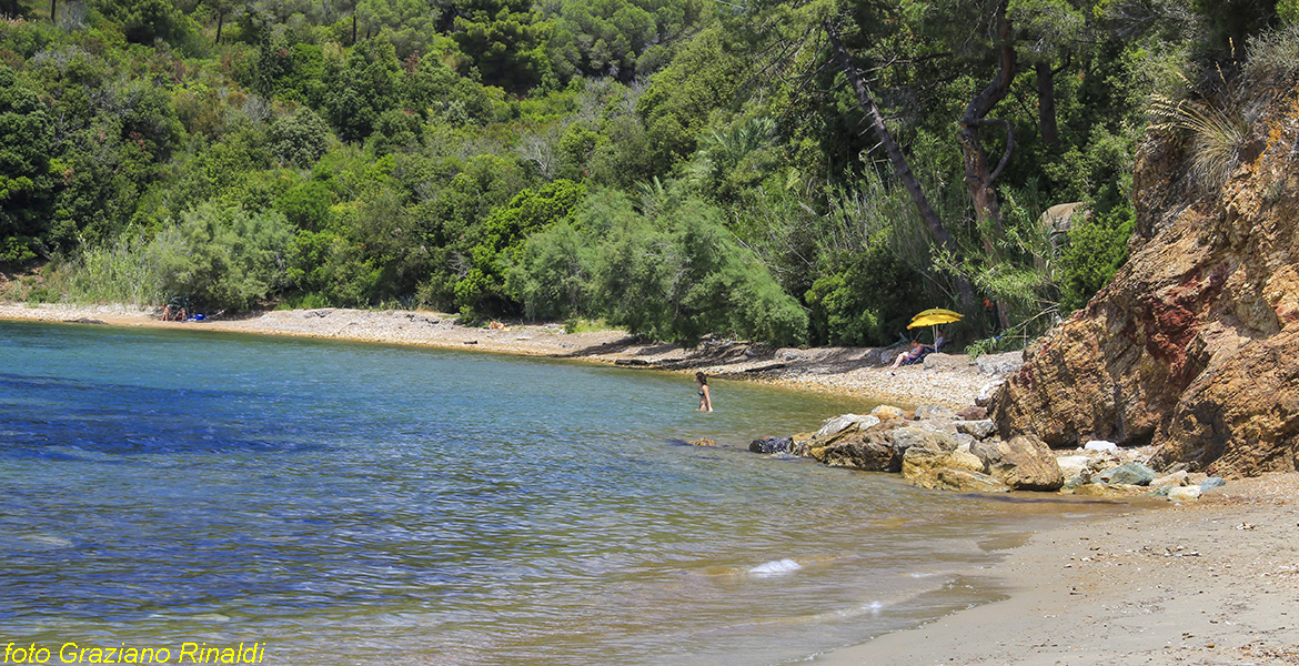 Spiagge Isola d'Elba Spiaggia Ottonellla signora al sole