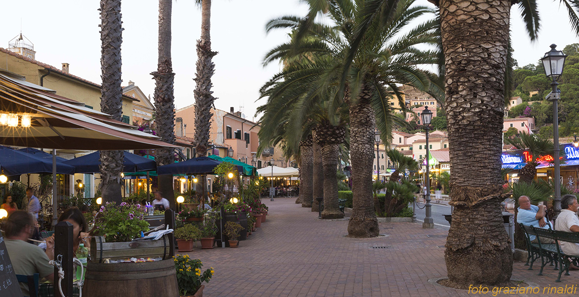 Porto Azzurro Isola d'Elba - palme sul lungomare