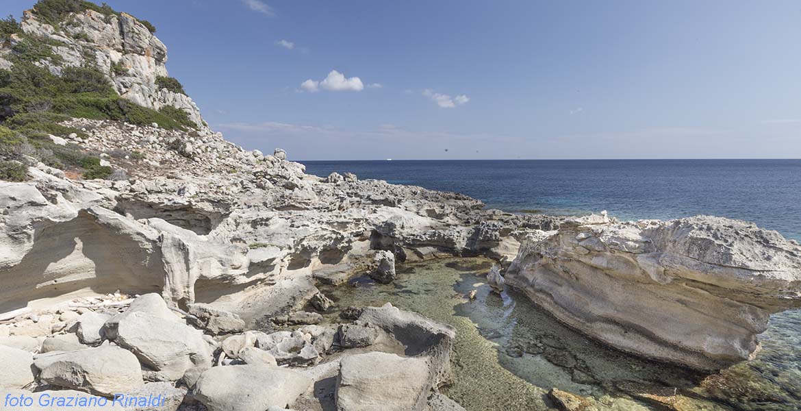 Marina di Campo Isola di Pianosa_a sud tra scogliere di fossilifero