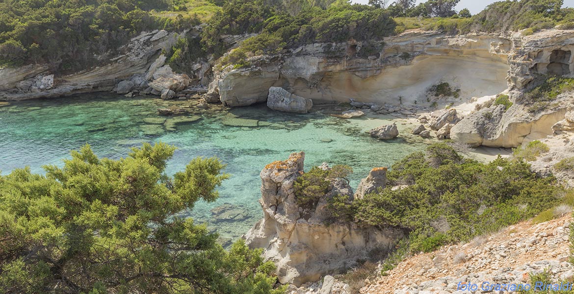 Marina di Campo Isola di Pianosa_cala Bruciato vista s'insieme