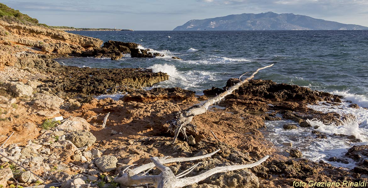 Marina di Campo Isola di Pianosa_verso punta Marchese