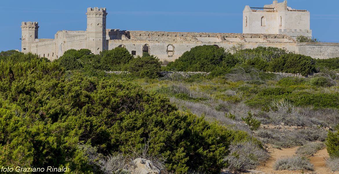 Marina di Campo Isola di Pianosa_i bastioni e le mura di Punta Marchese