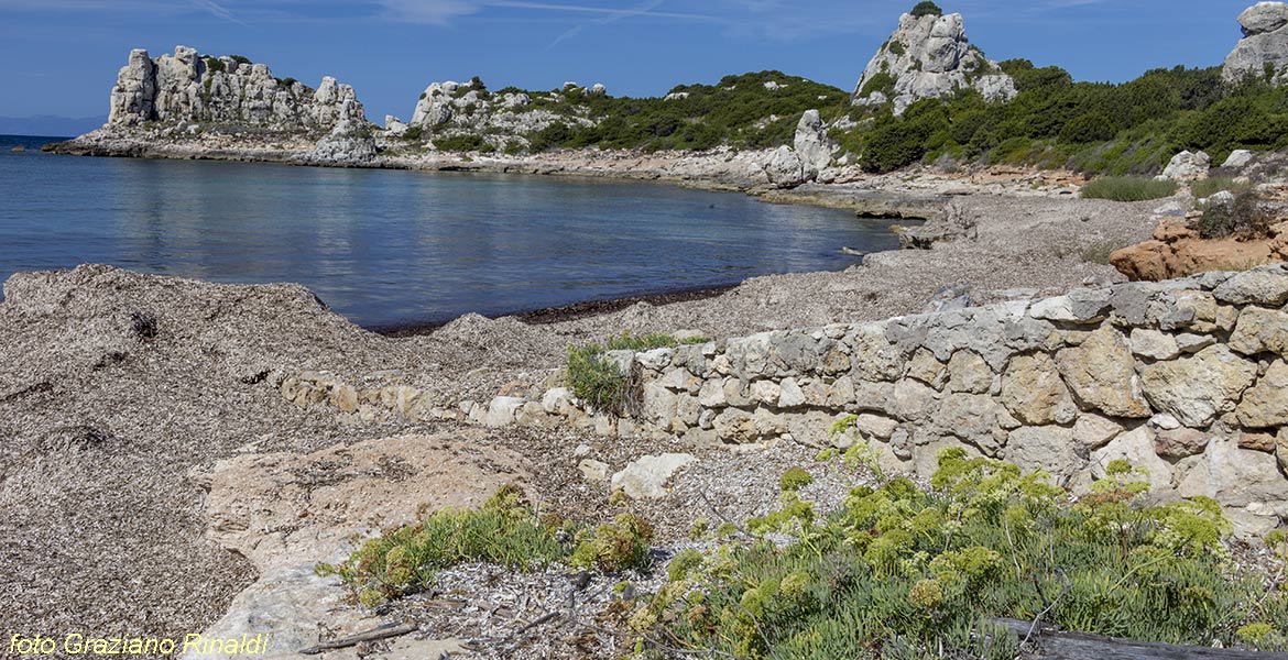 Marina di Campo Isola di Pianosa_ruderi porto romano