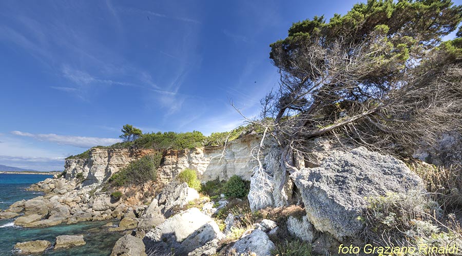 Marina di Campo Isola di Pianosa_costa meridionale