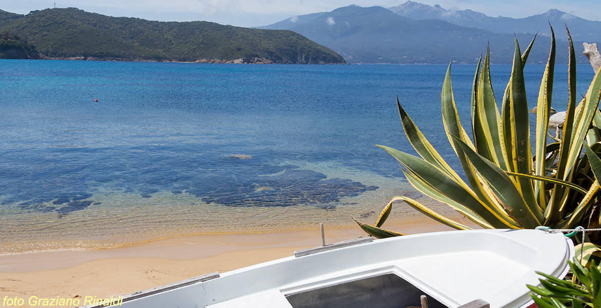 Le spiagge più belle dell'isola d'Elba_foto testa