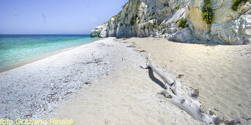 Le spiagge più belle dell'isola d'Elba_capo bianco