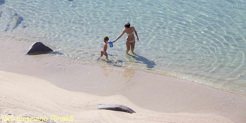 Le spiagge più belle dell'isola d'Elba_ cavoli