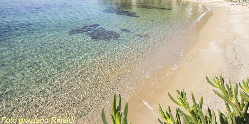 Le spiagge più belle dell'isola d'Elba_spiaggia del Forno nel golfo di Scaglieri