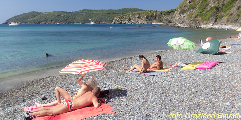 Le spiagge più belle dell'isola d'Elba_Norsi