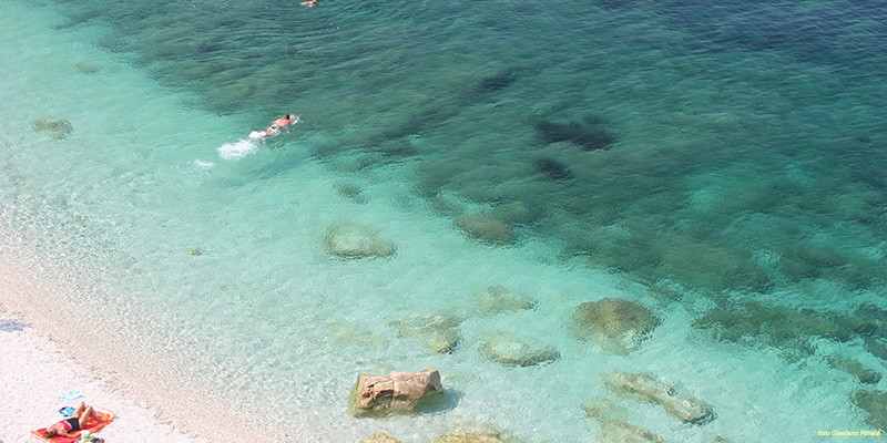 Le spiagge più belle dell'isola d'Elba_Sansone elba