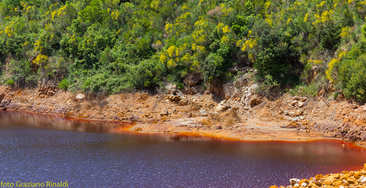 Isola d'Elba Miniere Rio Marina Cantiere Le Conche_costa settentrionale con vegetazione