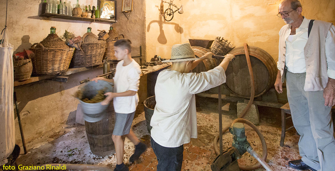 Capoliveri isola d'Elba_Festa dell'uva_cantina con bambini al lavoro