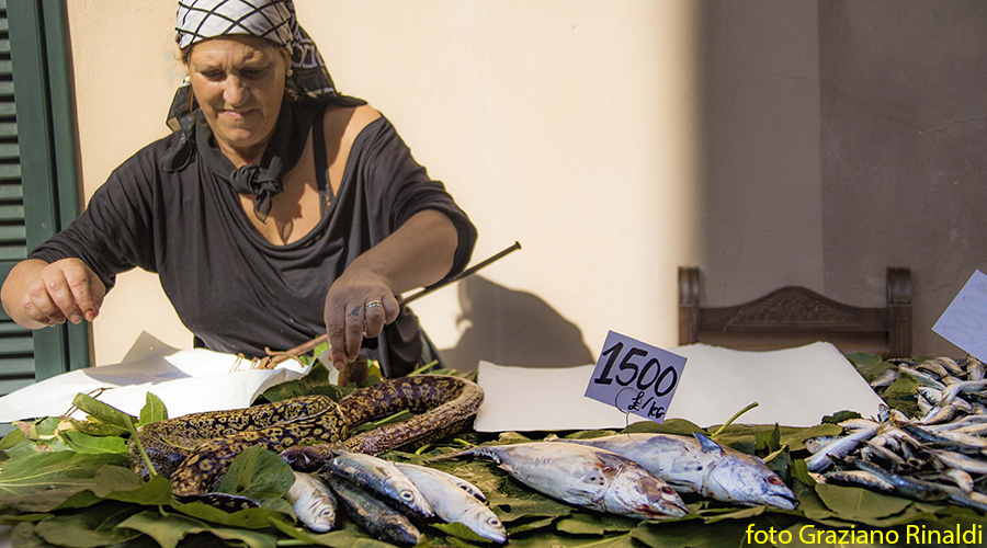 capoliveri isola d'Elba festa dell'uva_mercato pesce