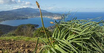 Foto: Giardino d’Inverno