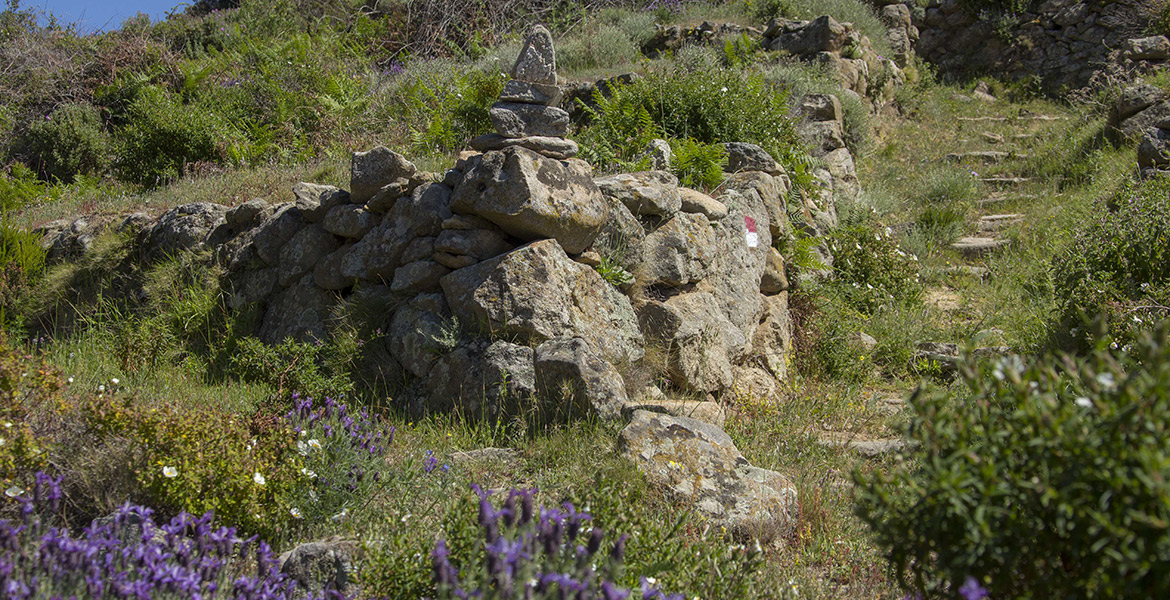 escursioni isola d'Elba_valle gneccarina_Chiessi_incrocio sentieri