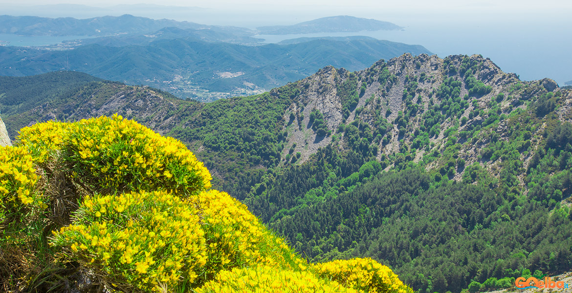 Isola_Elba_monte_Capanne_calanche