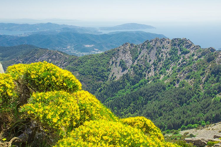 Foto: La Grande Bellezza… delusa.